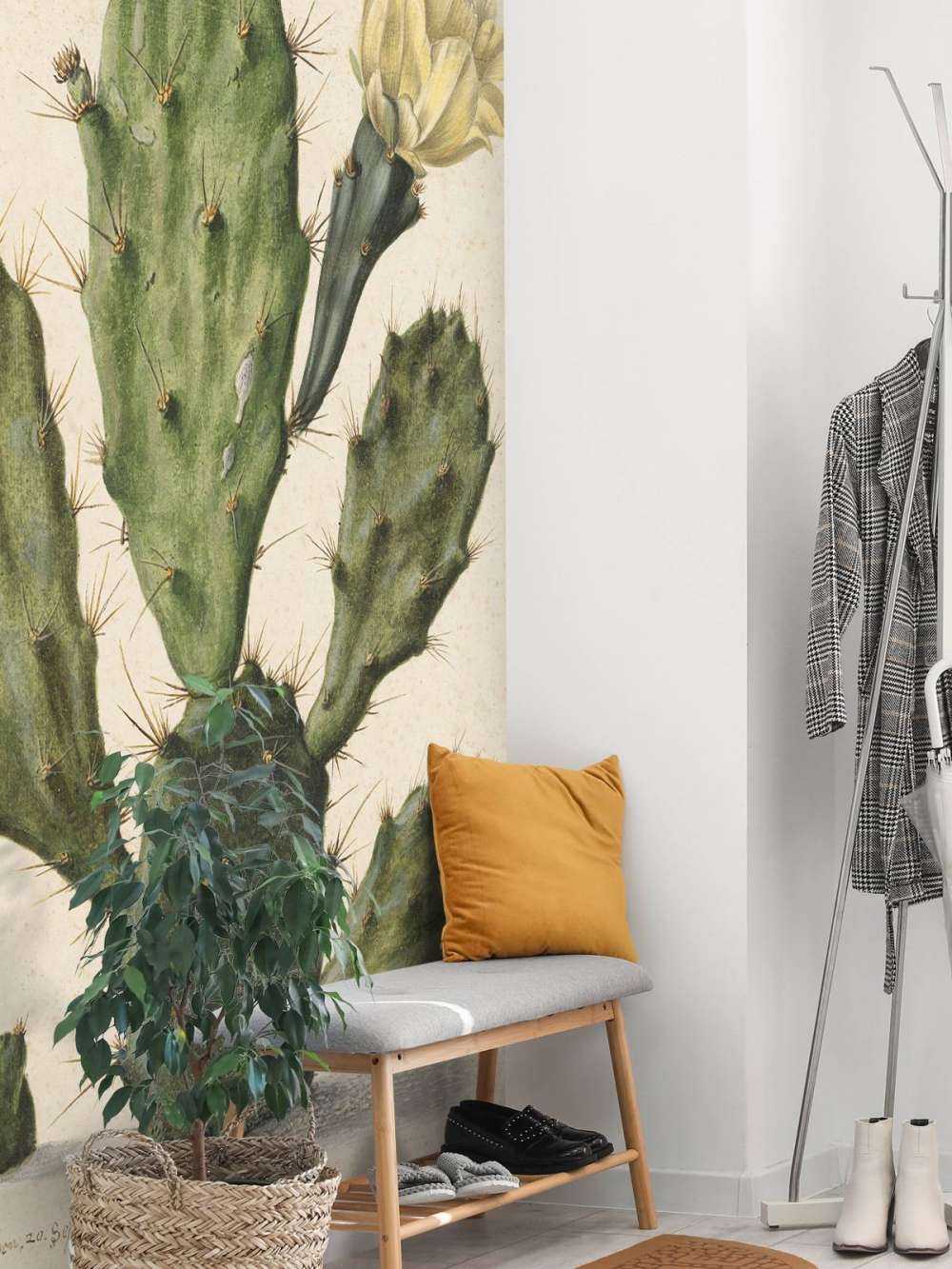 Cactus di fico in fiore