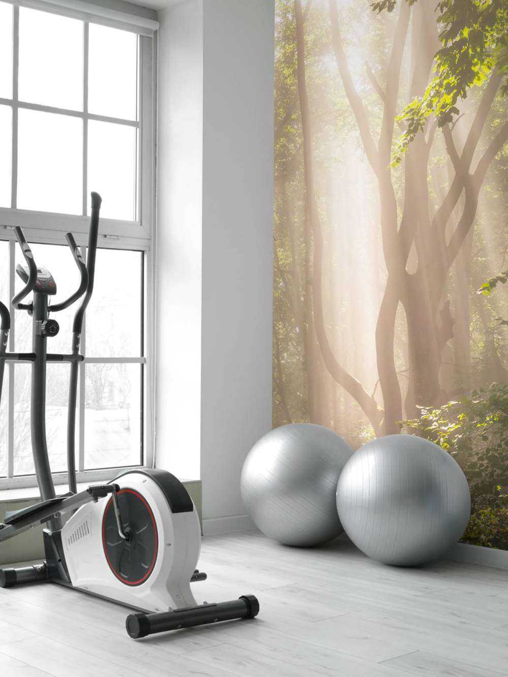 Torsione albero nella foresta