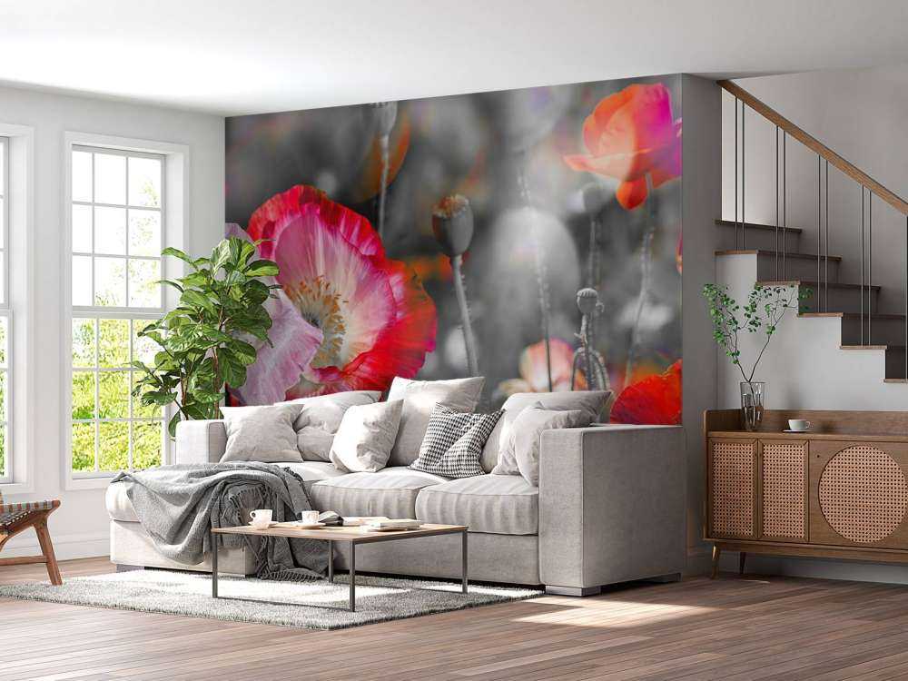 Papaveri in nero, bianco, rosso e nero