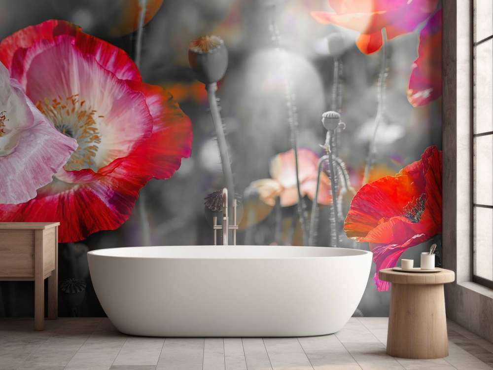 Papaveri in nero, bianco, rosso e nero