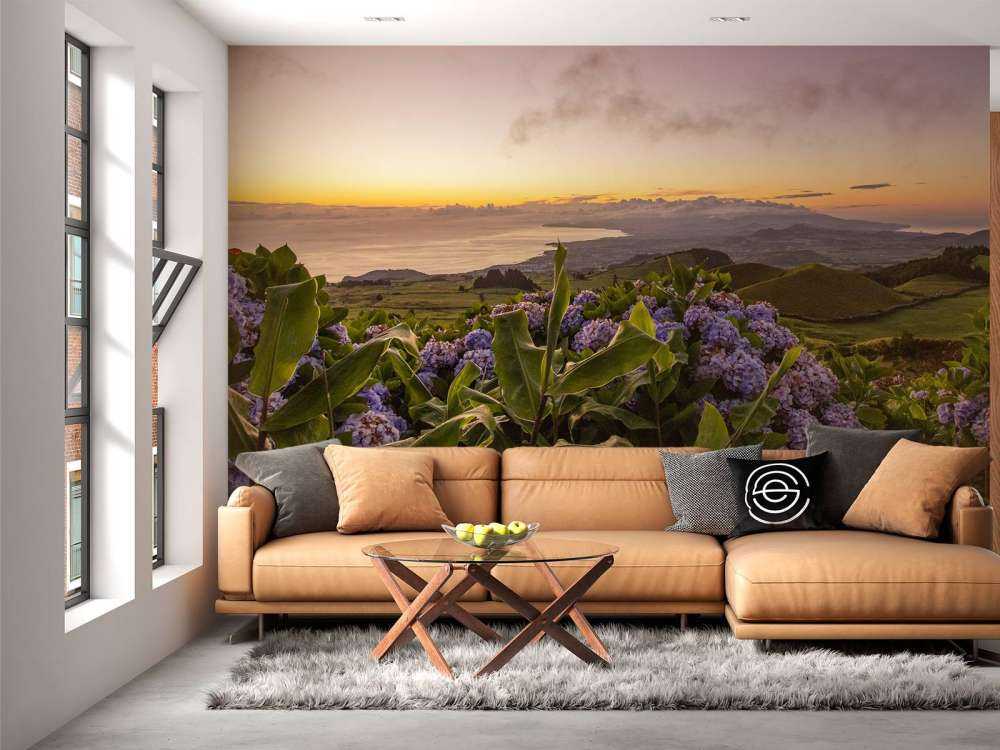 Tramonto con ortensie