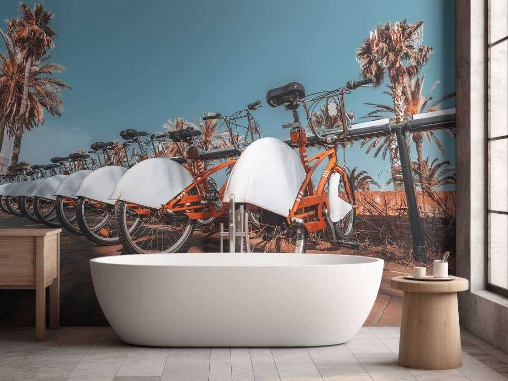 Noleggio di biciclette