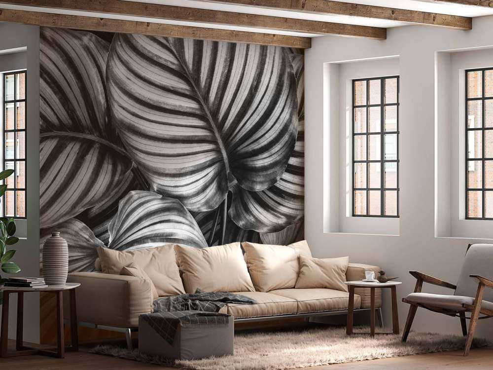 Pianta con foglie a strisce