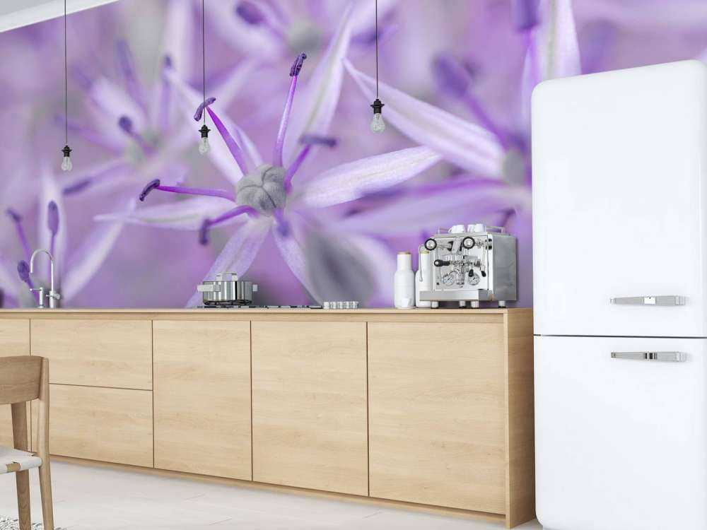 Fiori di allium viola