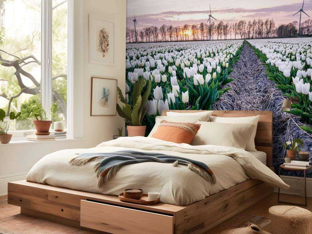 Campo di tulipani bianchi