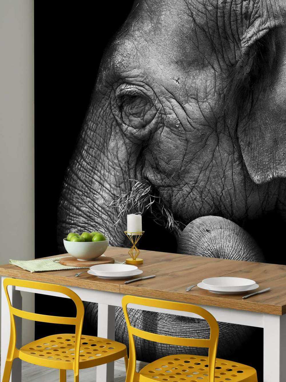 Ritratto di elefante