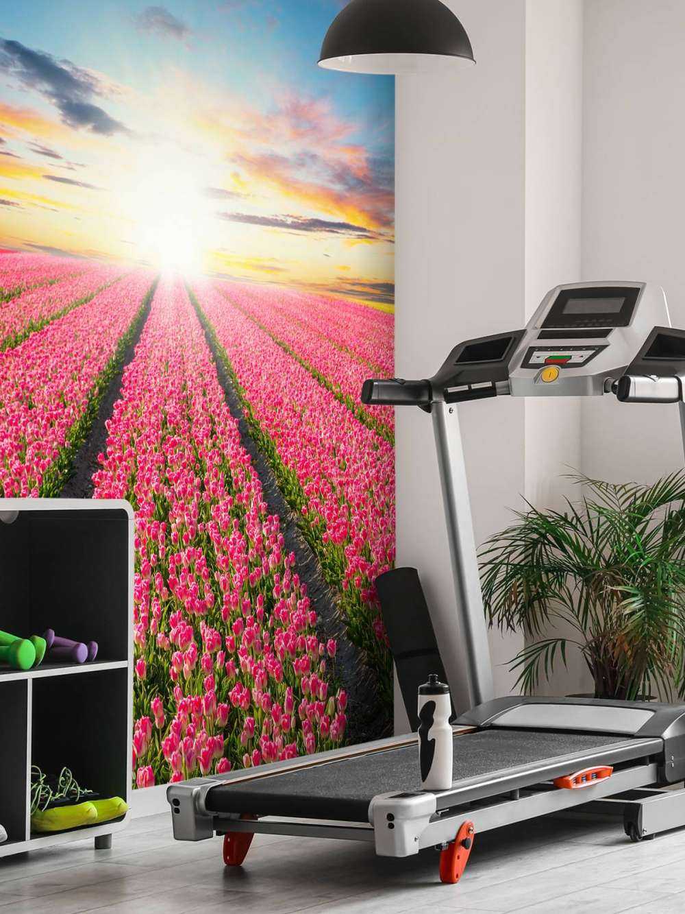 Tulipani con il sole nascente