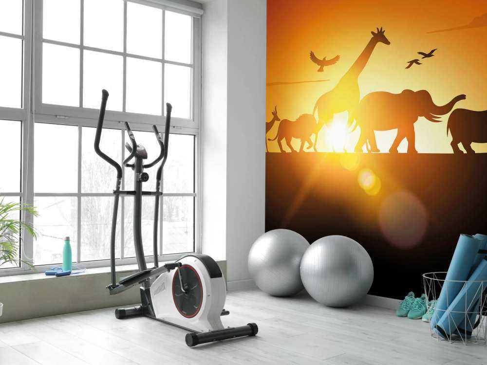 Animali della savana