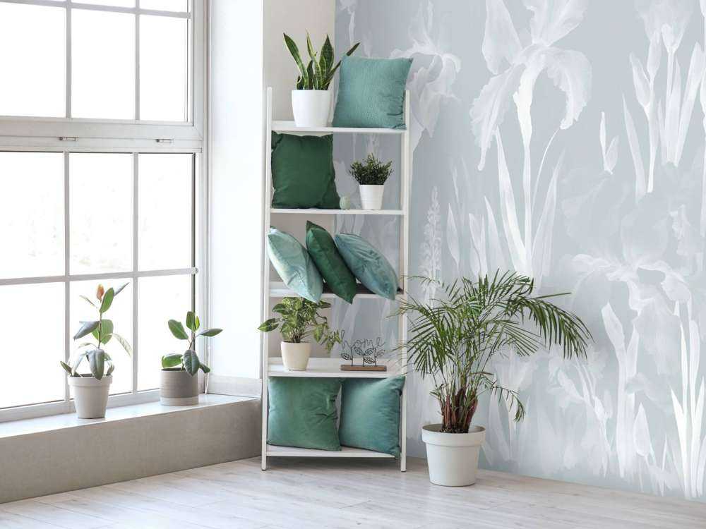 Felice Primavera Cool Lilla