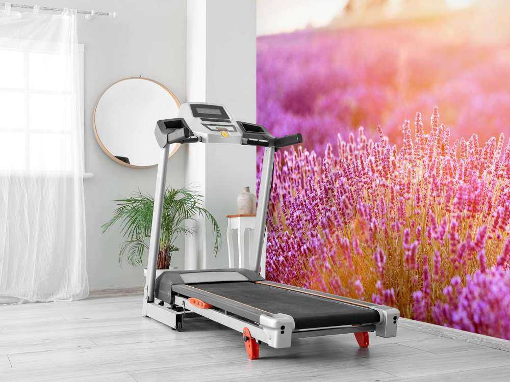 Fiori di lavanda ravvicinati