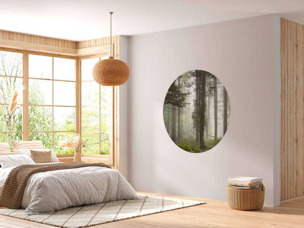 Bellissimo paesaggio nebbioso