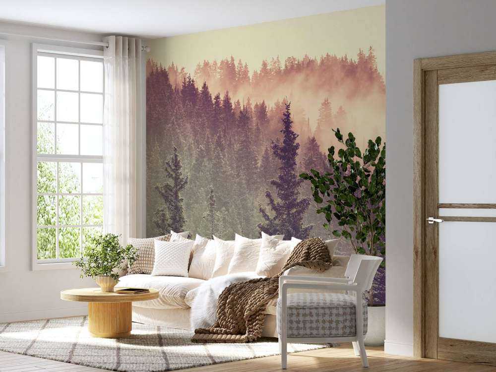 Nebbia nella foresta