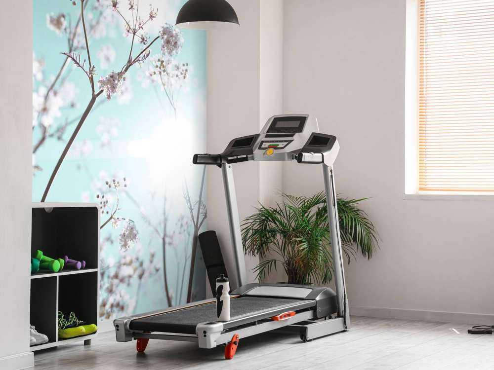 Mandorlo in fiore al sole