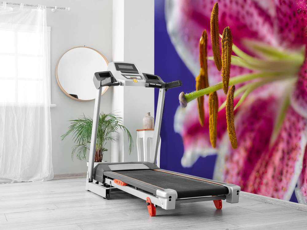 Fiore rosa ravvicinato