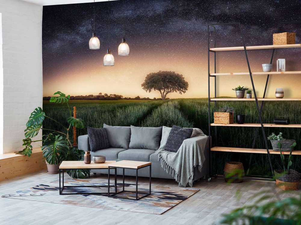 Milky way over lonely tree