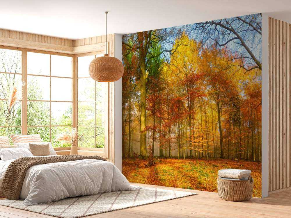 Panorama della foresta colorata