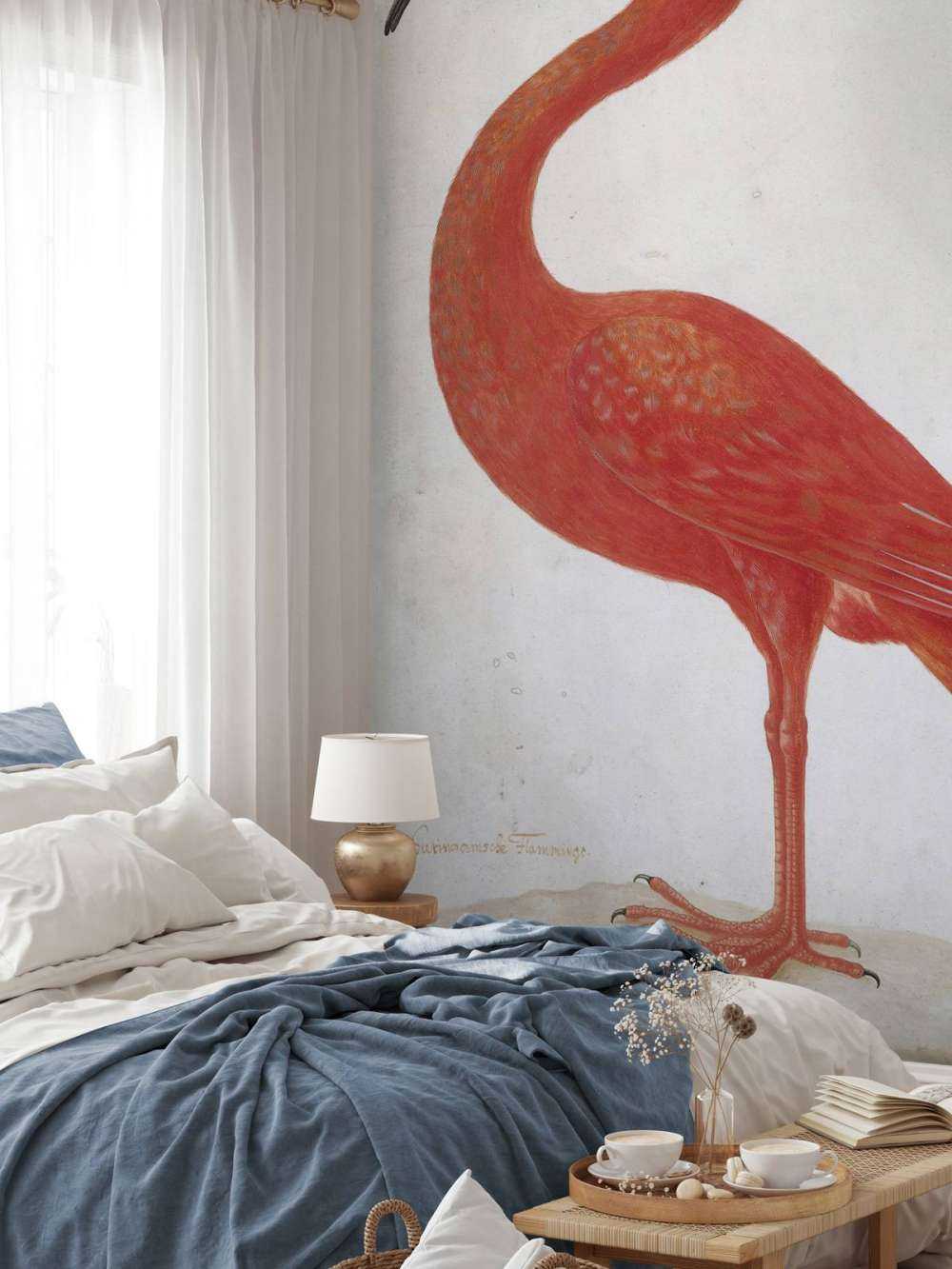 Ibis rosso con uovo