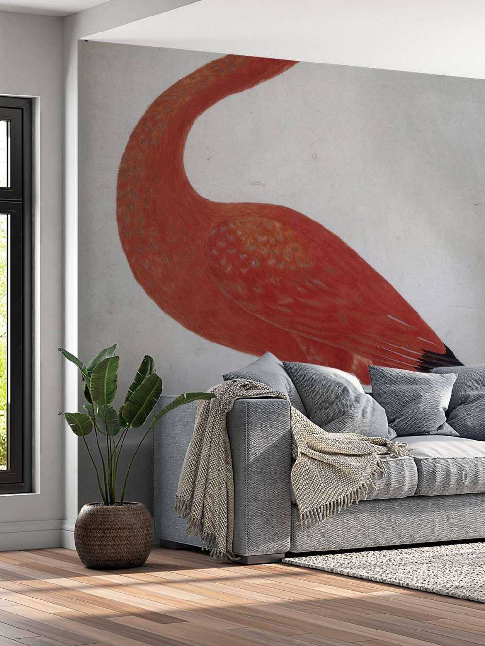 Ibis rosso con uovo