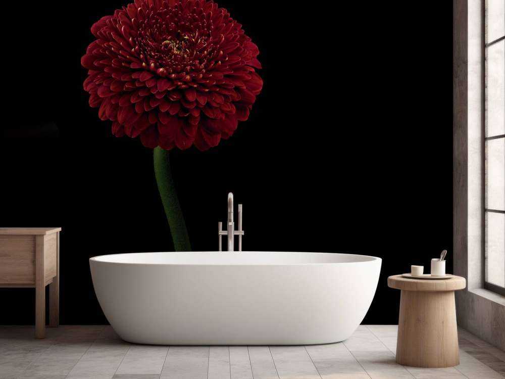 Fiore rosso su stelo