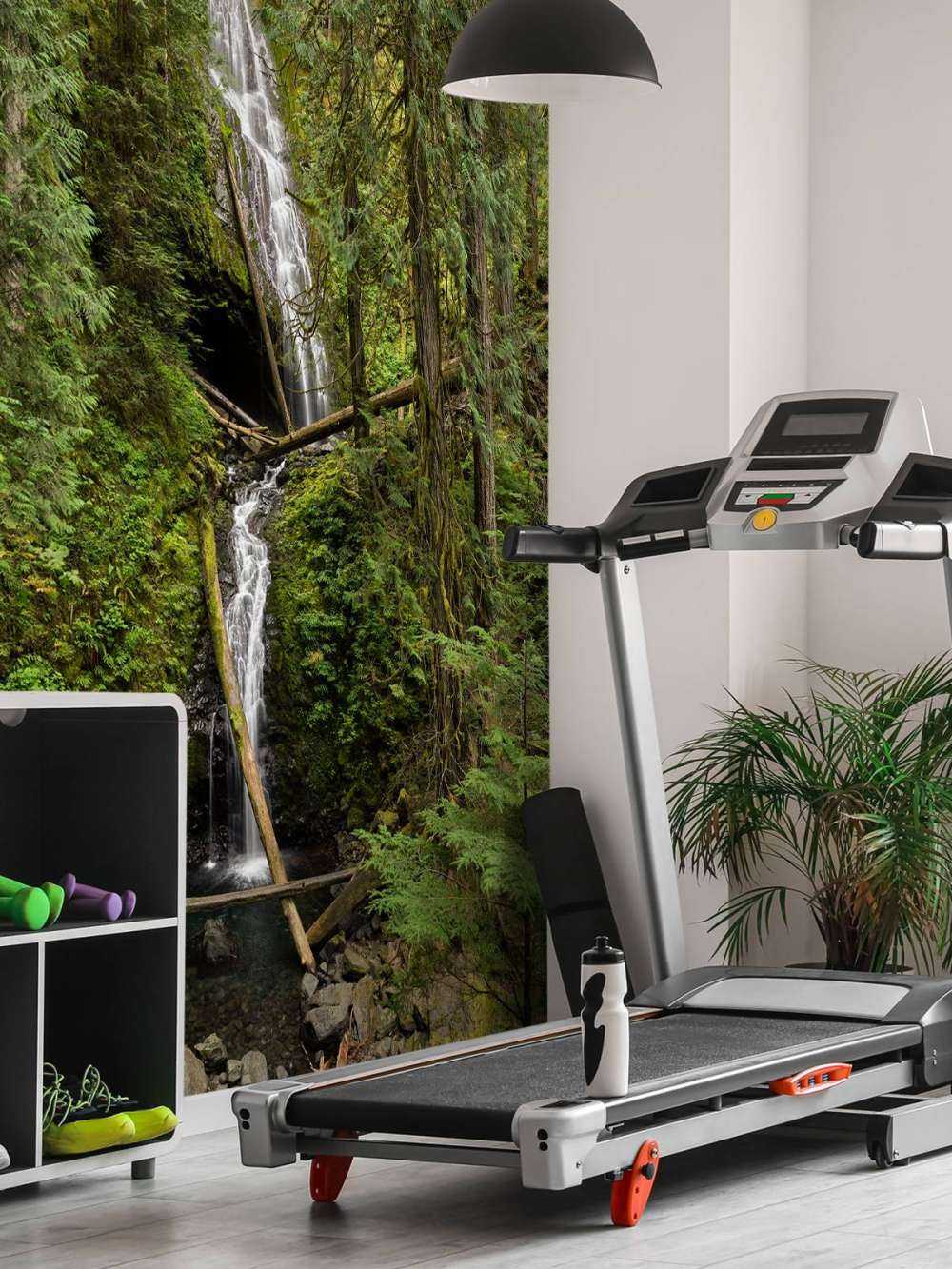 Cascata con alberi caduti