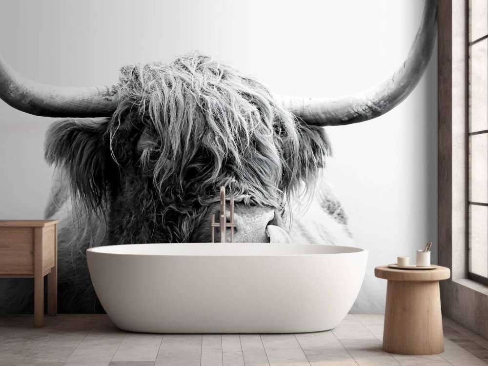 Divertente Highlander scozzese