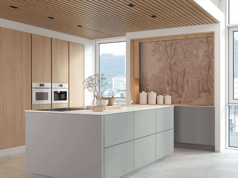 Paesaggio Forestale Terra Panorama