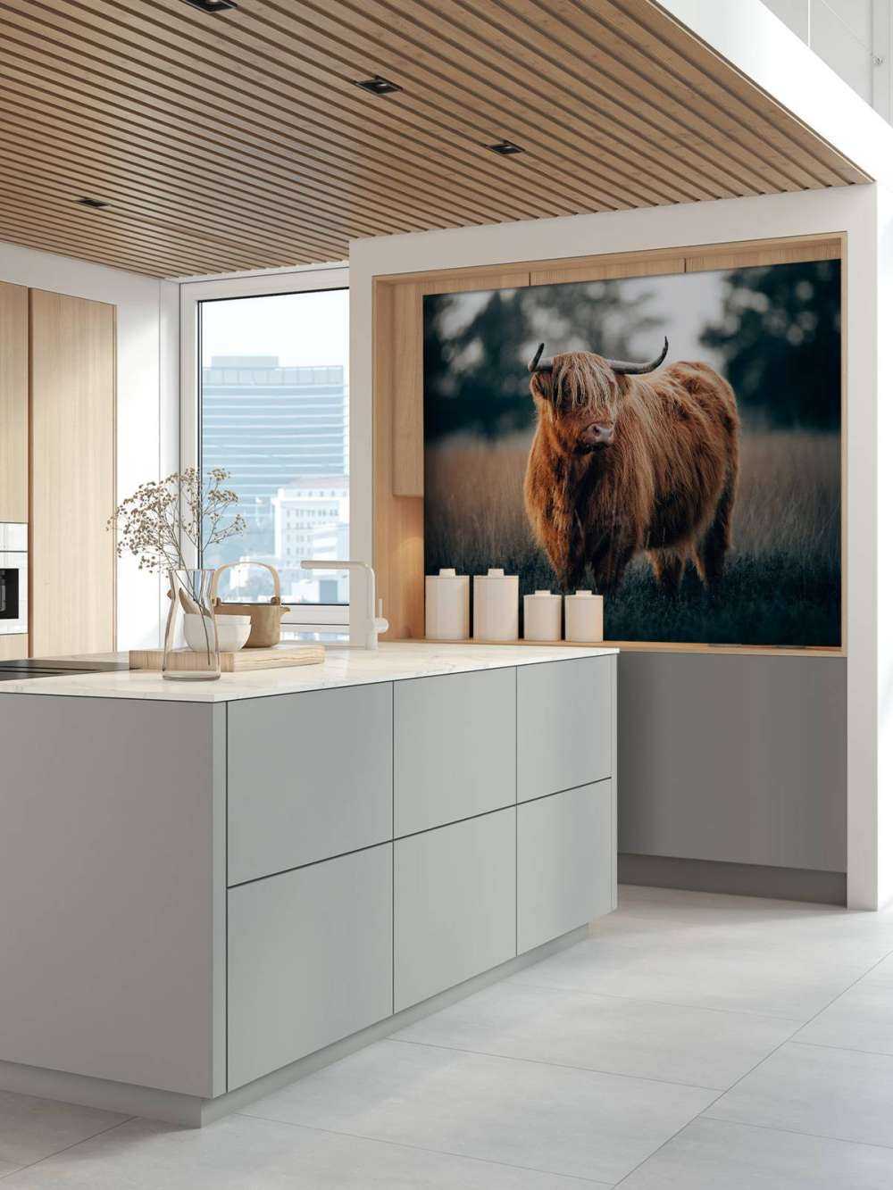 Ritratto di bovini delle Highland