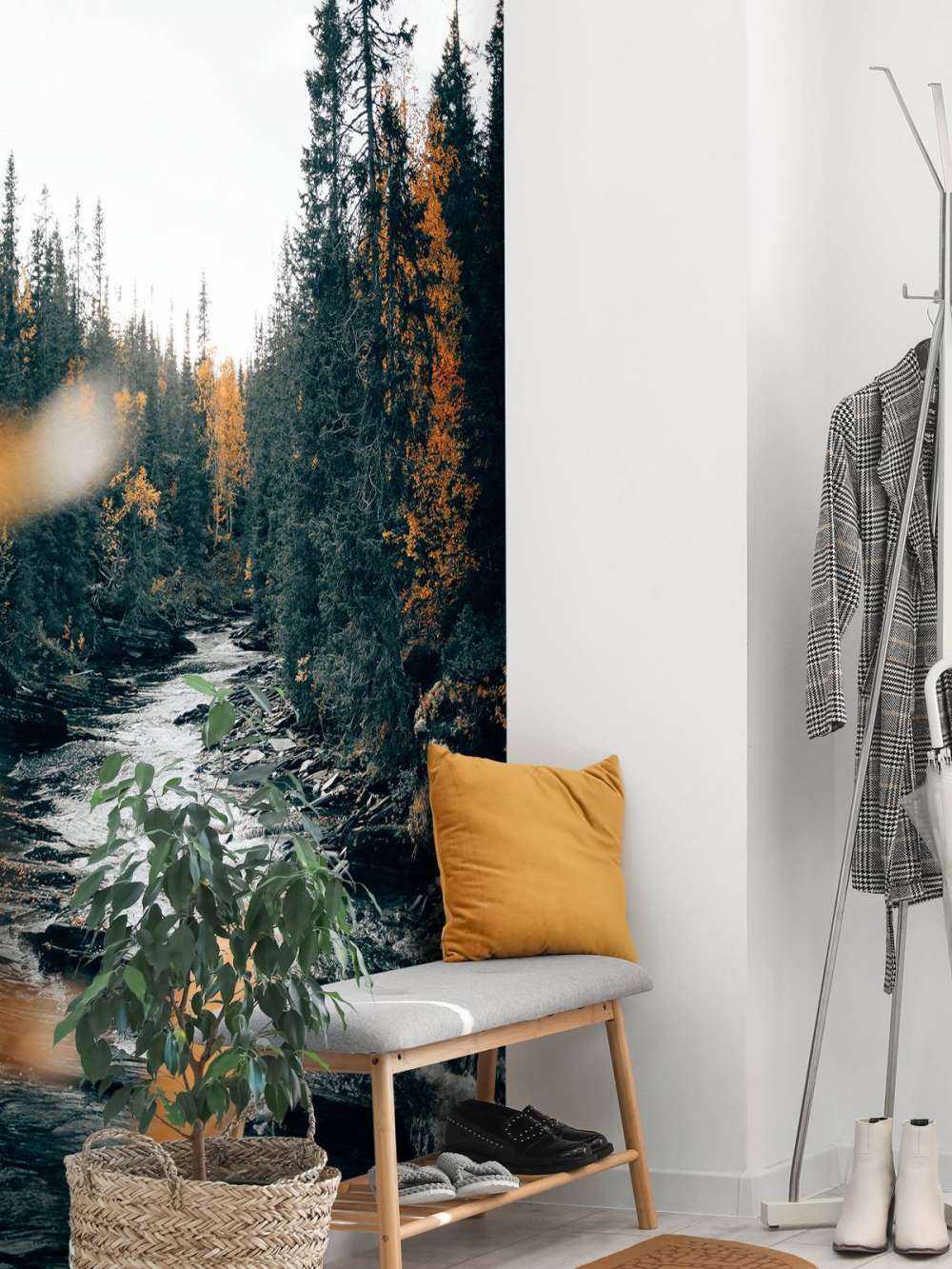 Foresta autunnale incantata