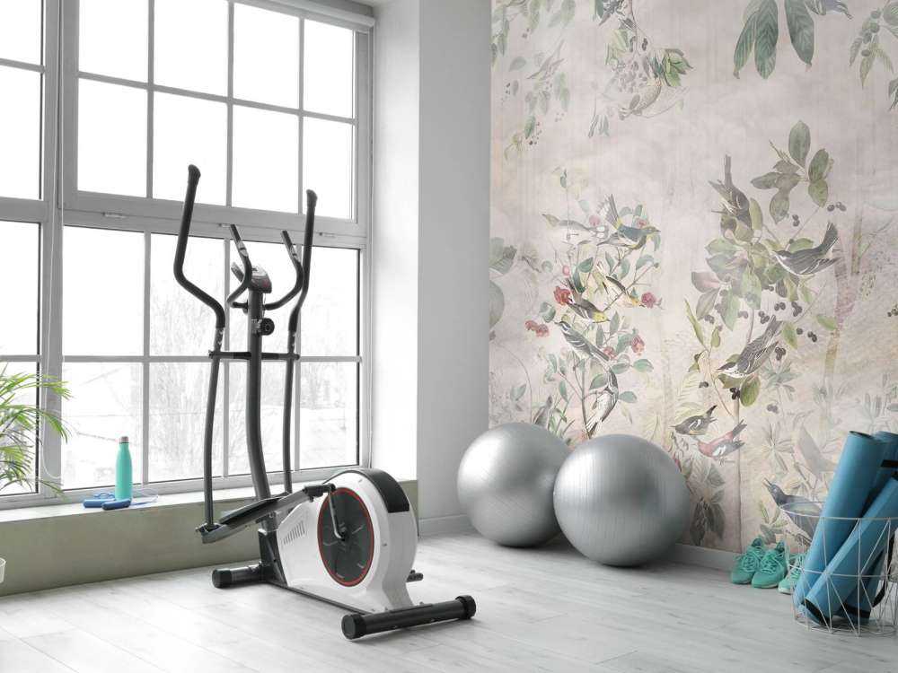 Uccelli della foresta in armonia