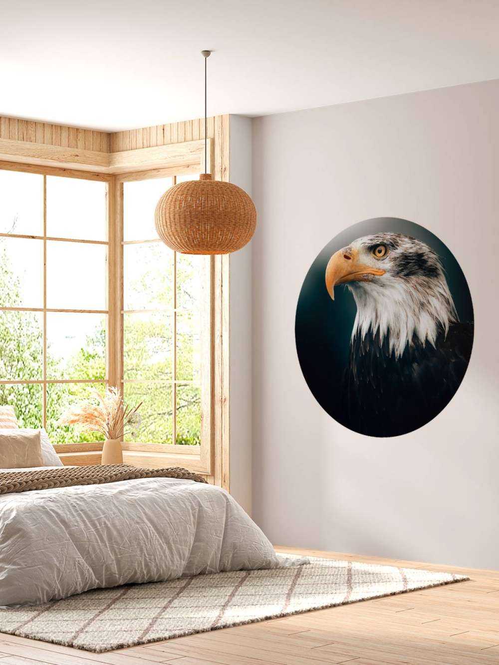 Aquila di mare primo piano