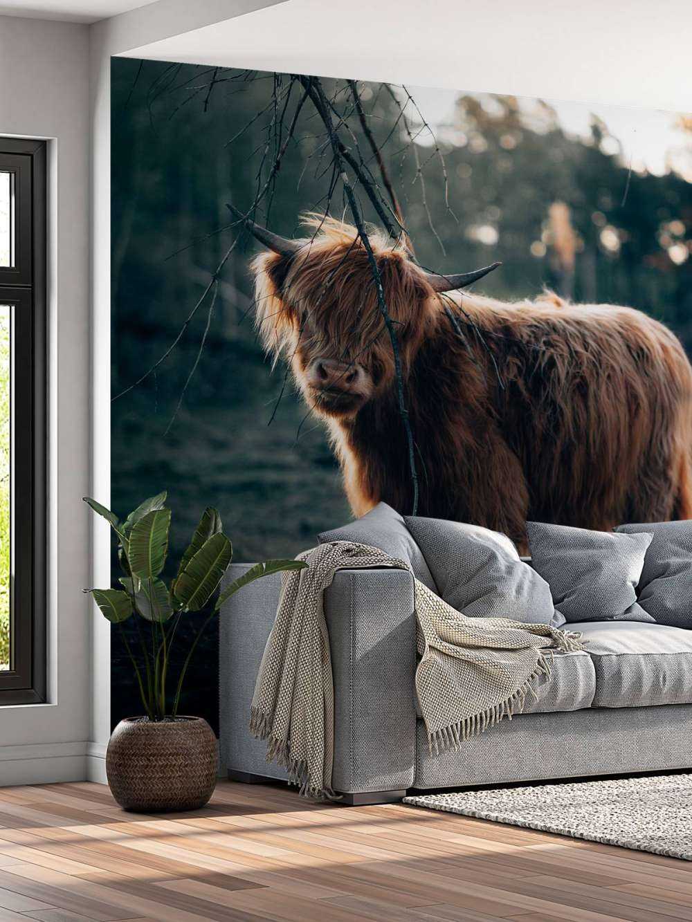 Highlander scozzese ai margini del bosco