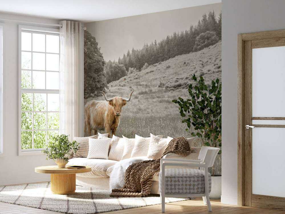 Highlander scozzese con vitello