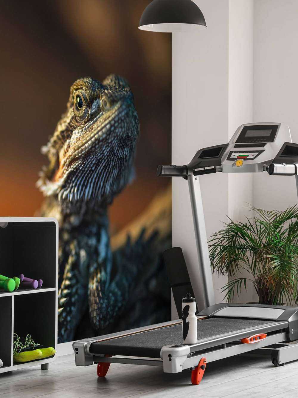 Camaleonte ravvicinato