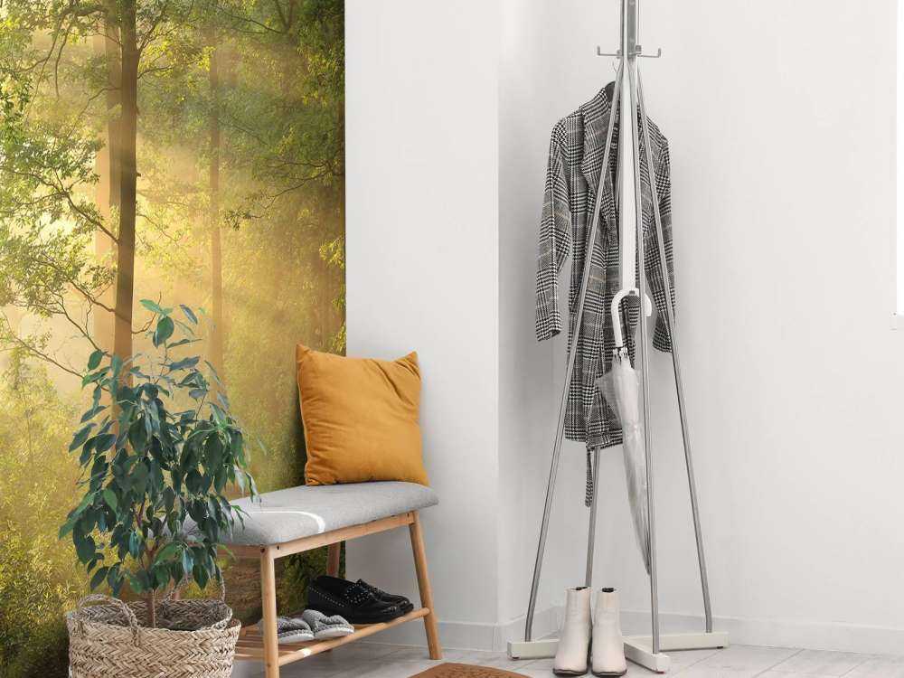 Nebbiosa mattina di primavera