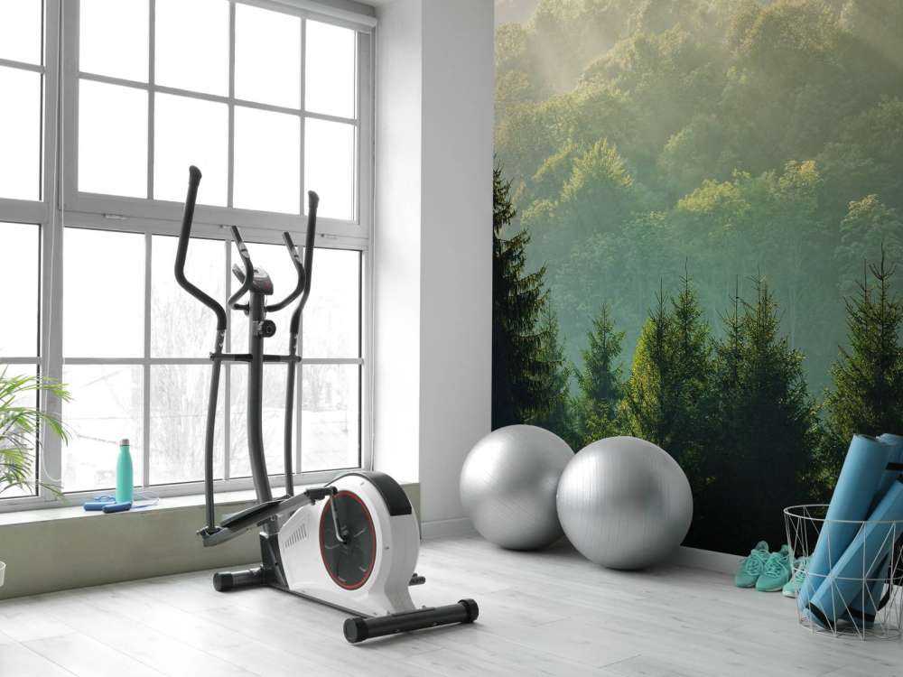 Raggi di sole sulla foresta