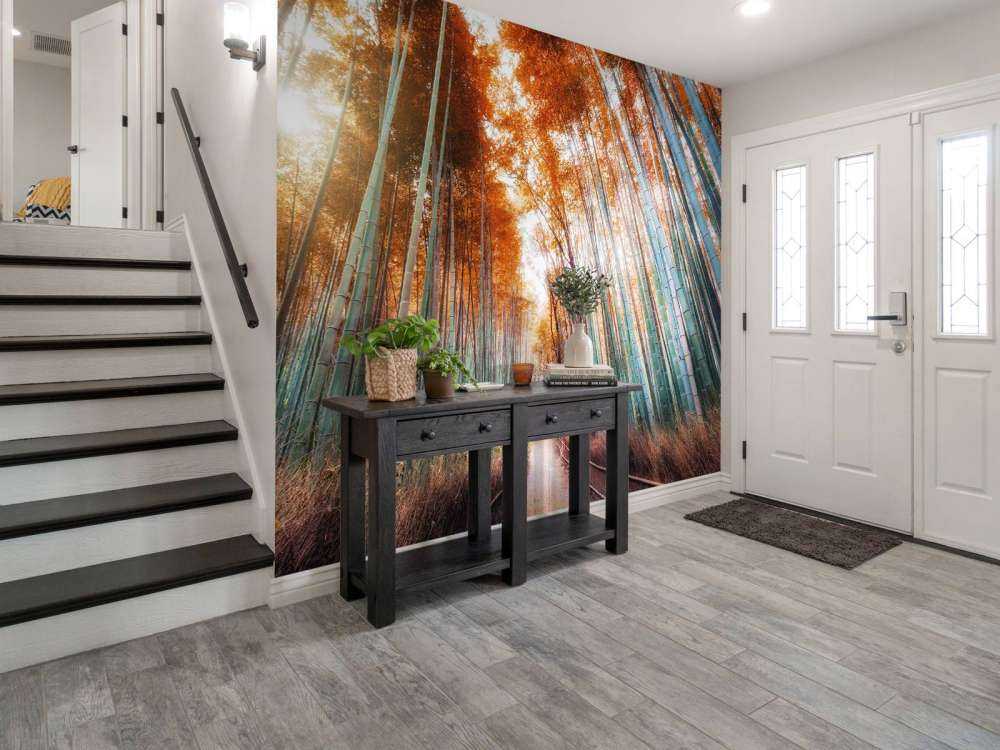 Autunno foresta di bambù