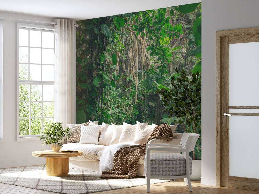 Rami nella foresta pluviale