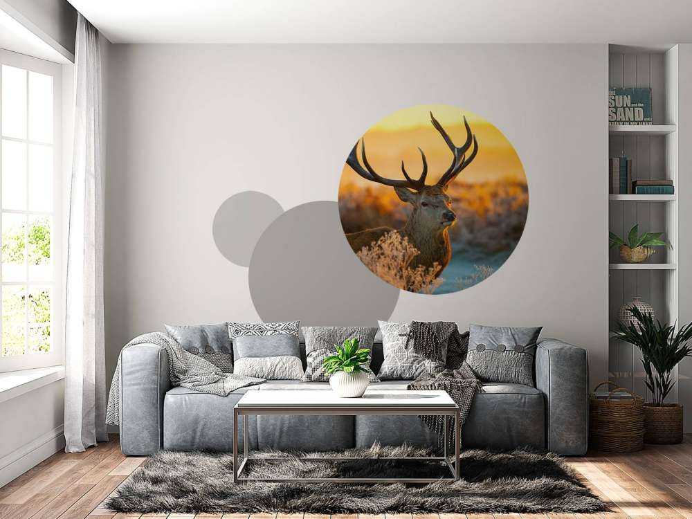 Cervi nella riserva naturale