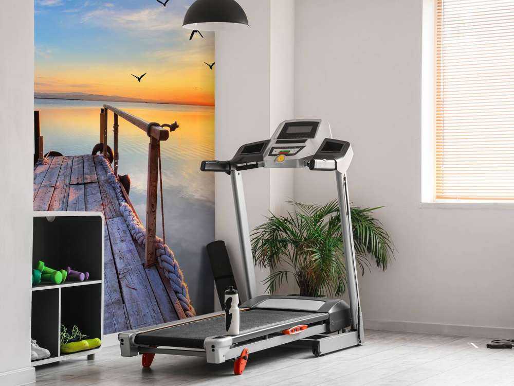 Uccelli sopra il mare