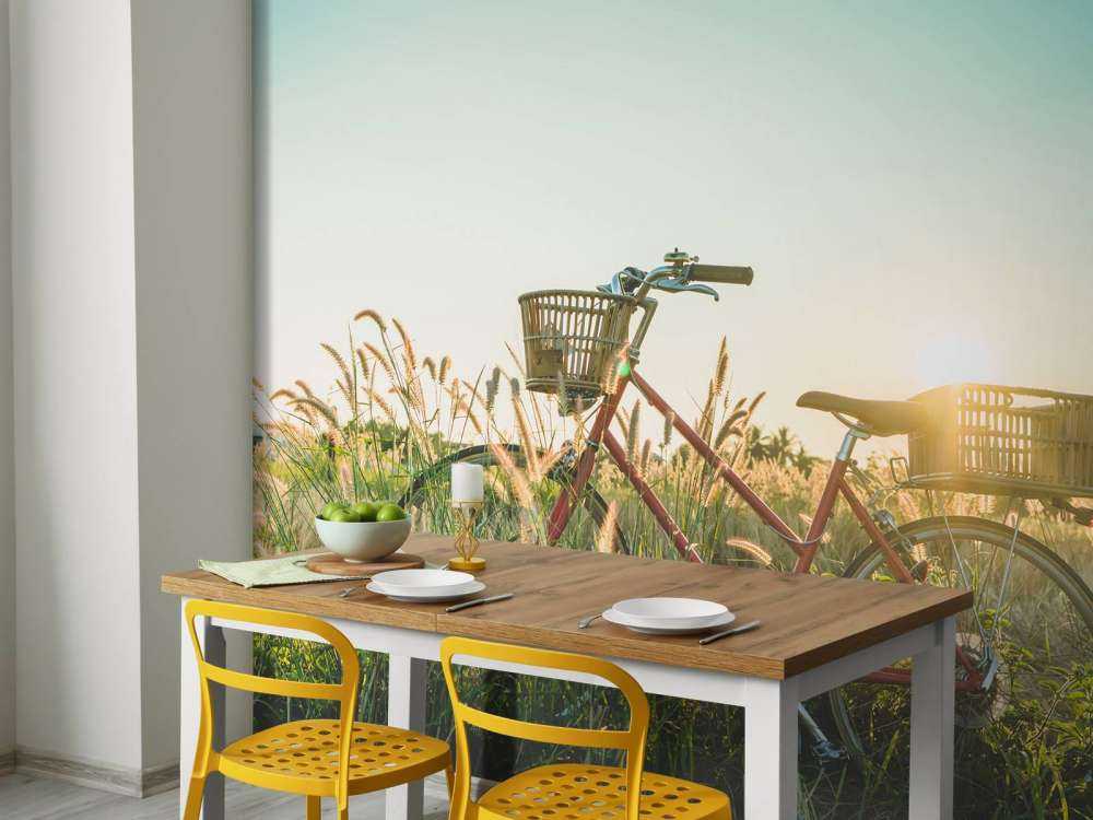 Bicicletta vintage rossa