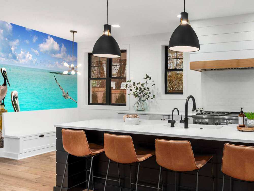 Pellicano dei Caraibi