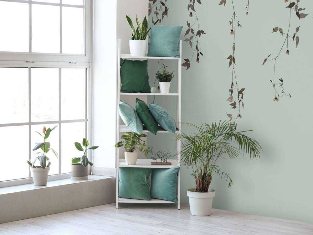 Rametti di clematide su grigio verde