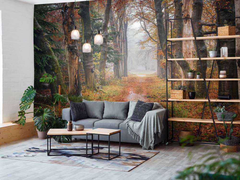 Sentiero forestale con alberi secolari