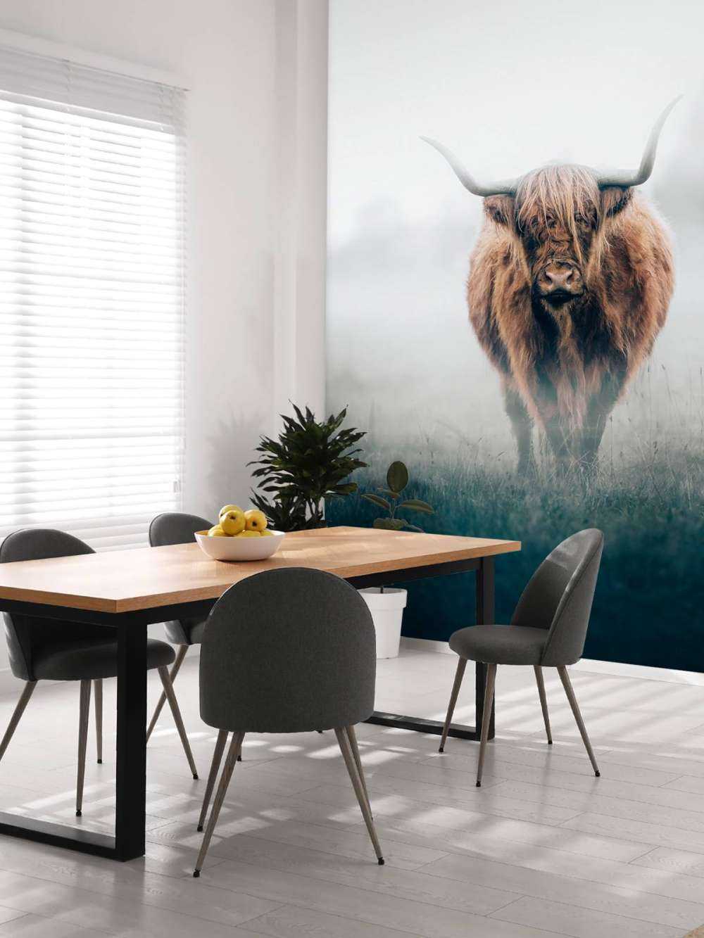 Highlander scozzese in una fitta nebbia