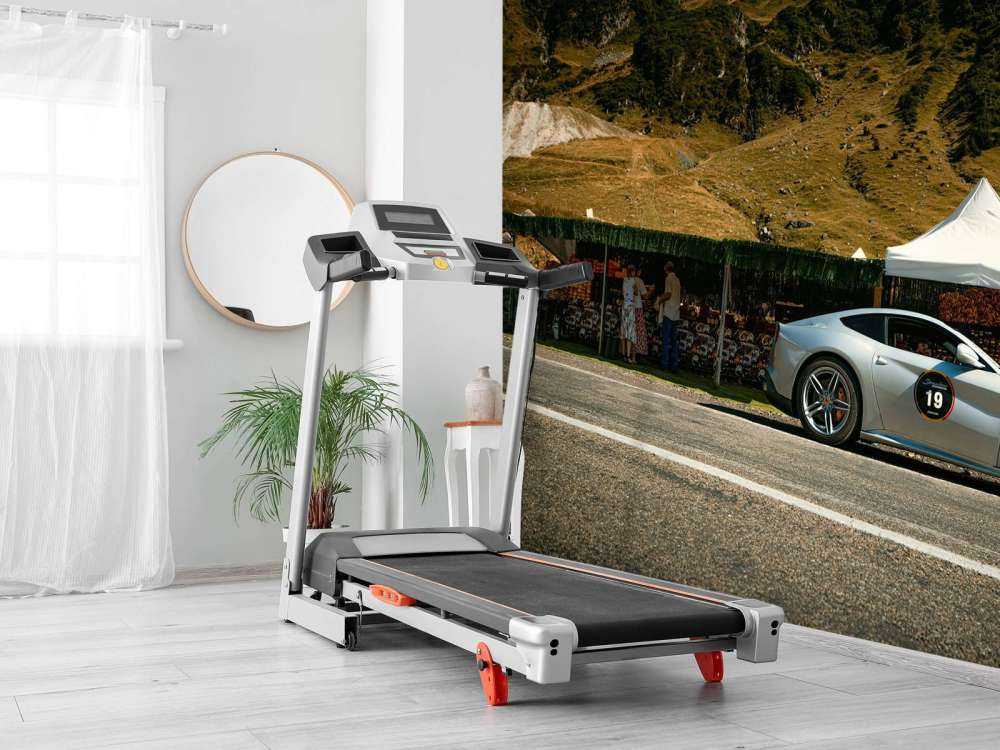 Forza italiana nella natura