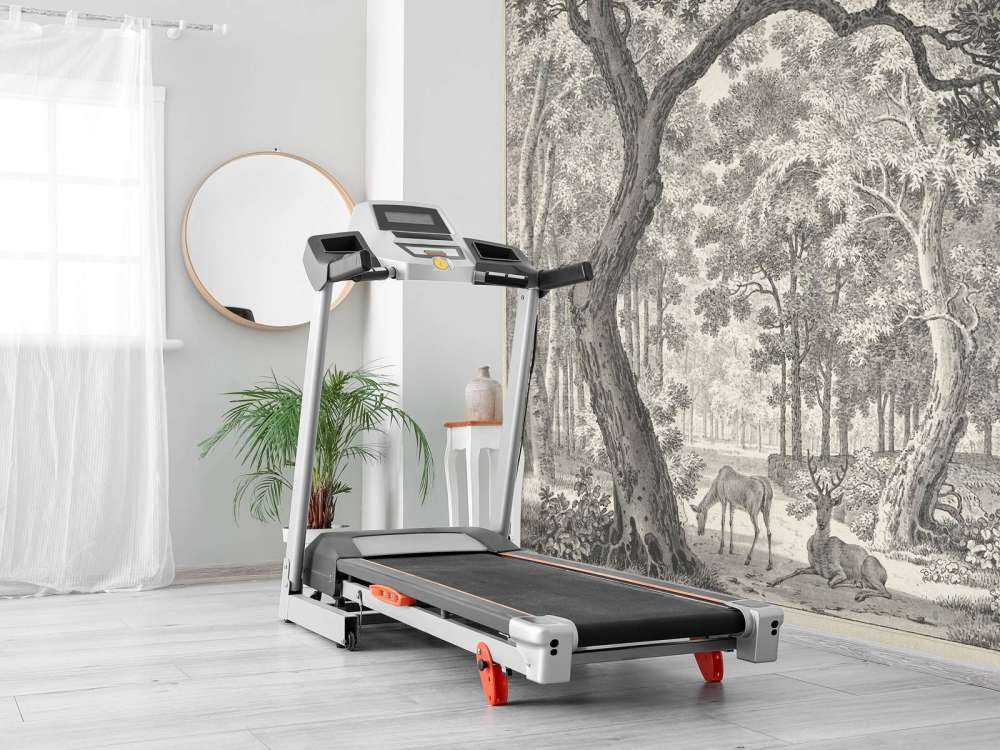 Vista sulla foresta con due cervi