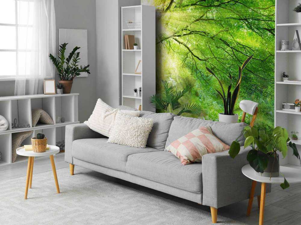 Grande albero con sole