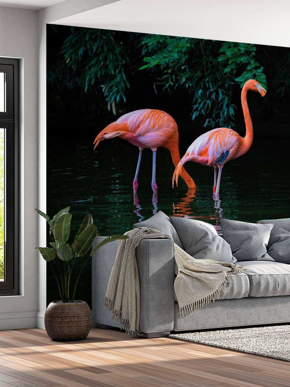 Due fenicotteri caraibici