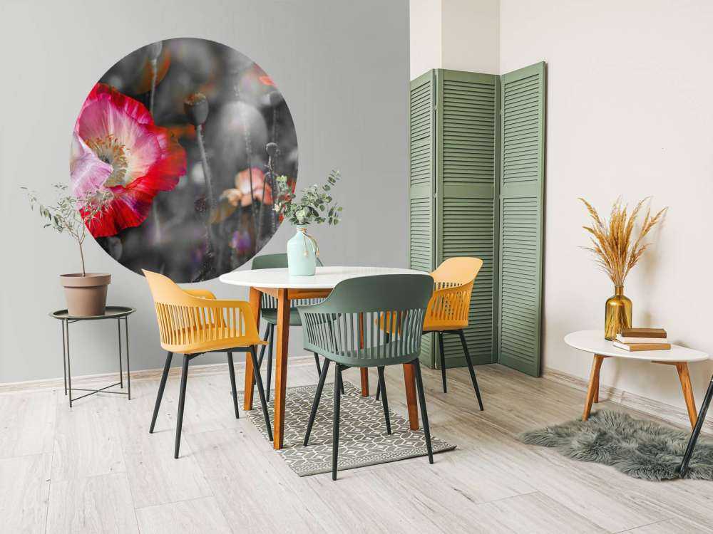 Papaveri in nero, bianco, rosso e nero