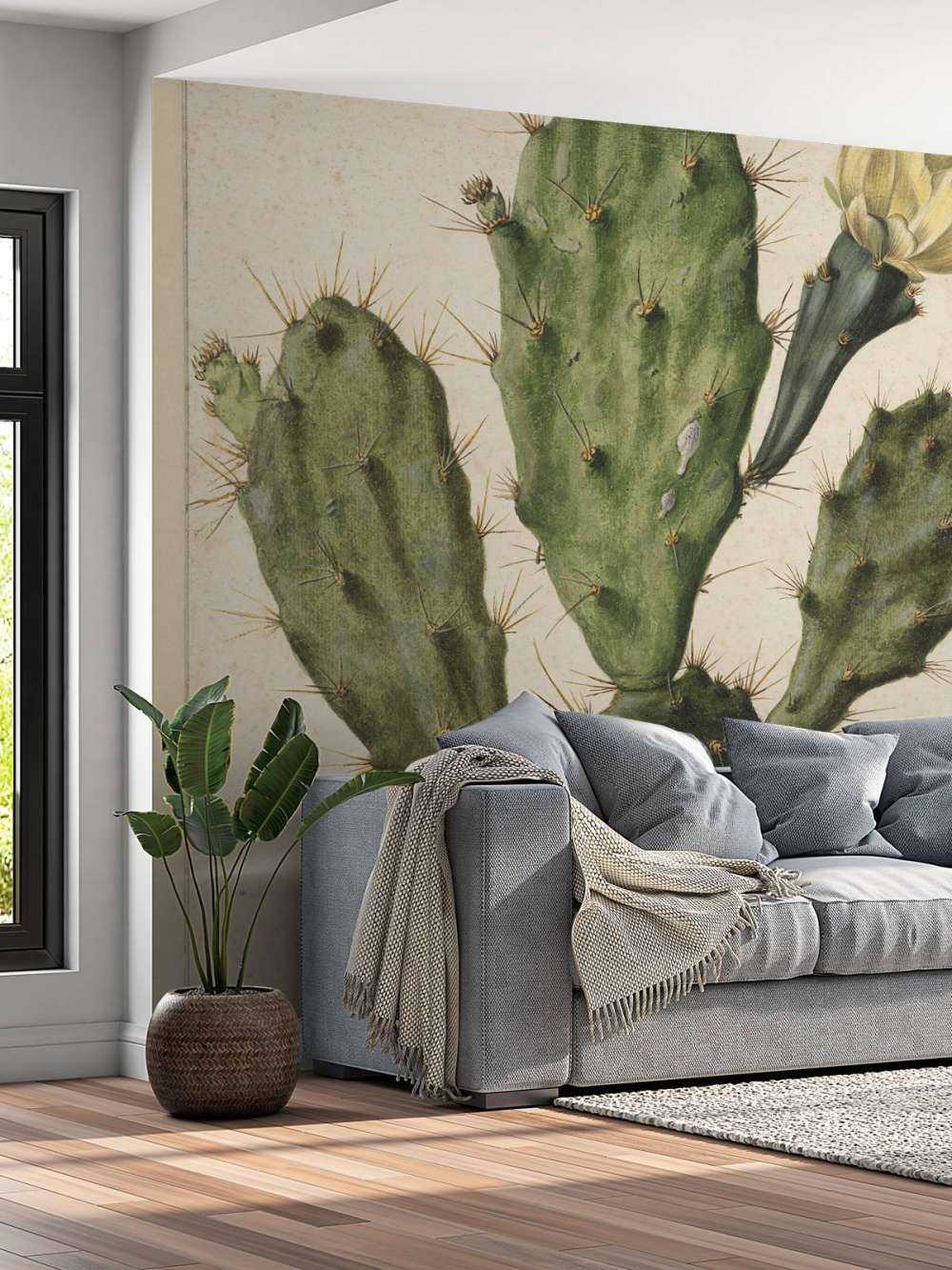 Cactus di fico in fiore